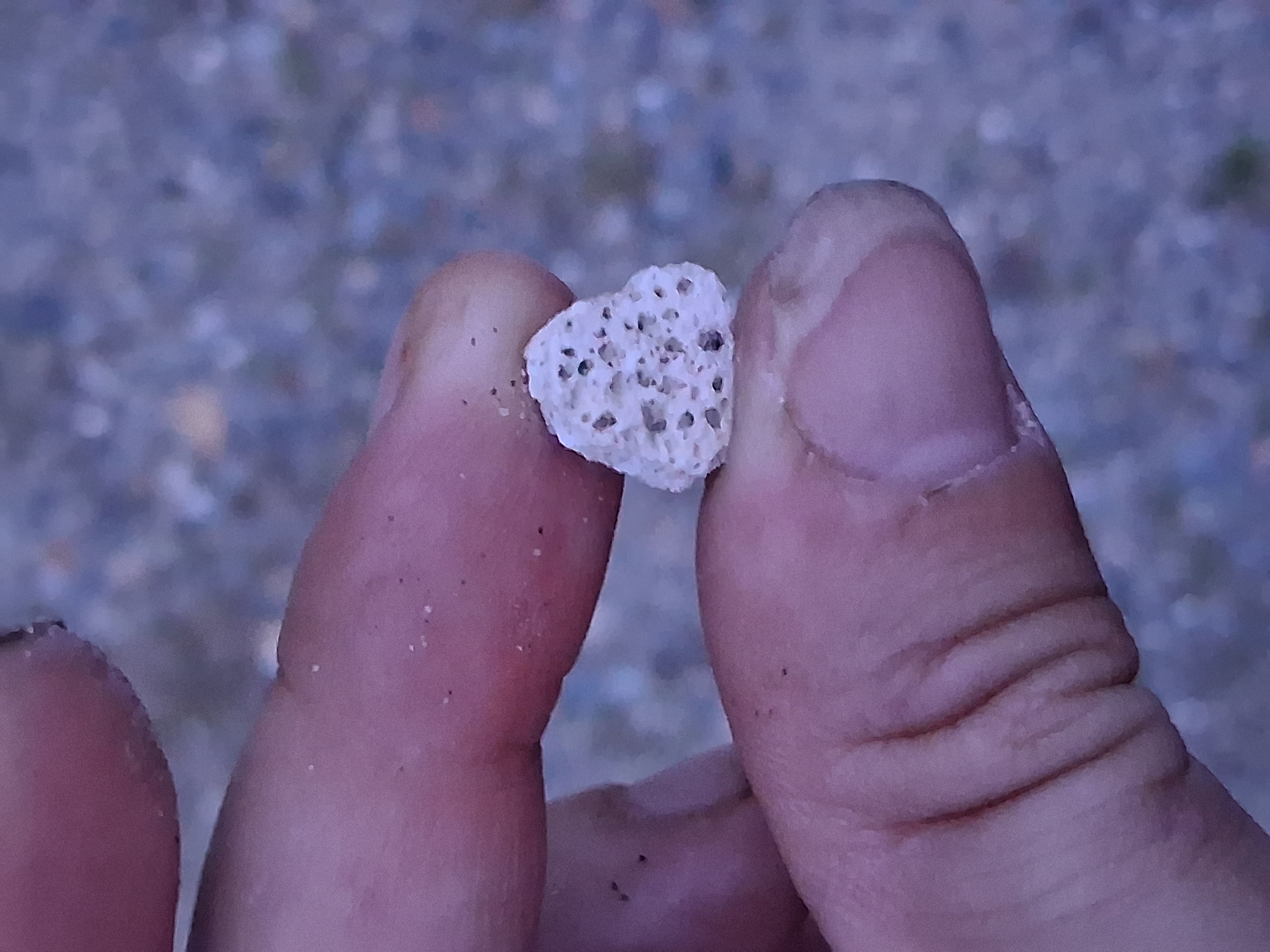 The Re-Discovery of Oyster Shell Road!